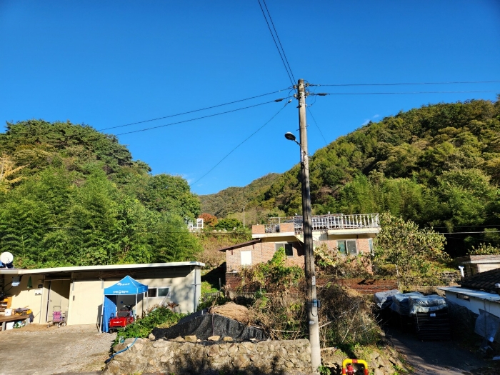전라남도 화순군 동복면 가수리 산177 임야 경매 사진 97