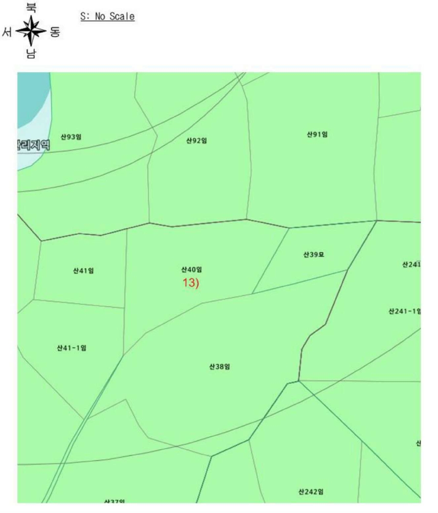 전라남도 화순군 동복면 칠정리 산40 임야 경매 사진 100