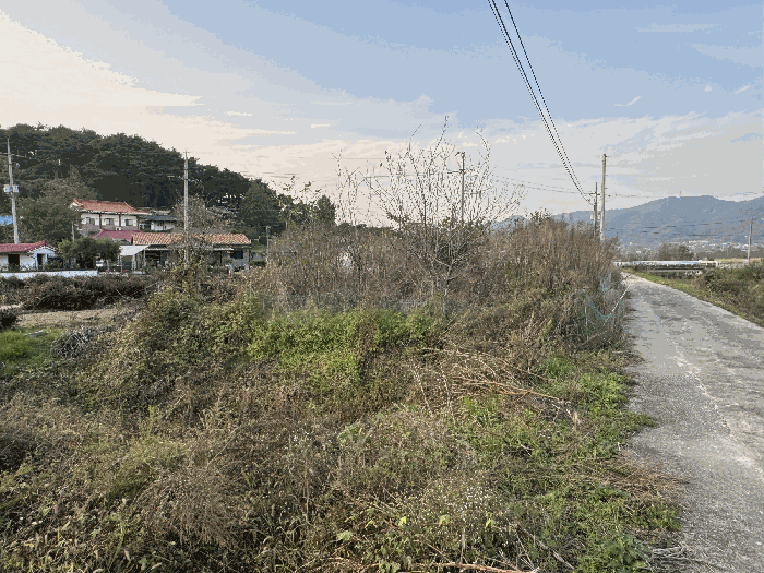 세종특별자치시 금남면 달전리 320-2 답 경매 사진 45