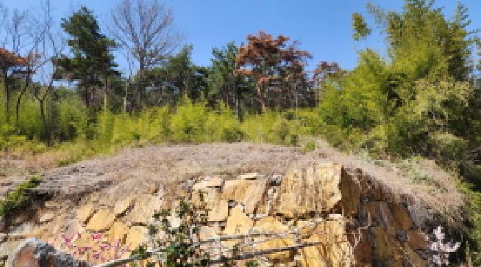 경상남도 양산시 원동면 용당리 1272-1 대지 경매 사진 27