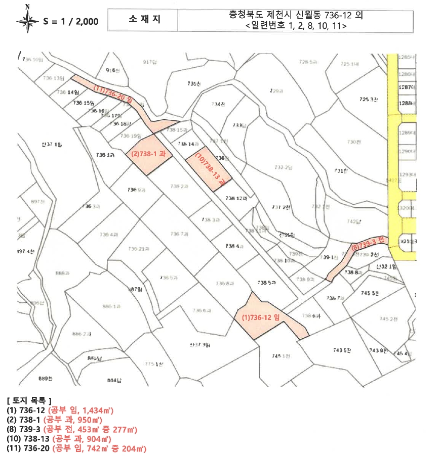충청북도 제천시 신월동 736-20 임야 경매 사진 91