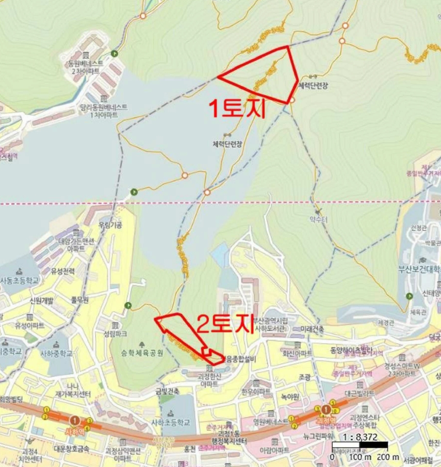 부산광역시 사하구 괴정동 산139-1 임야 경매 사진 14