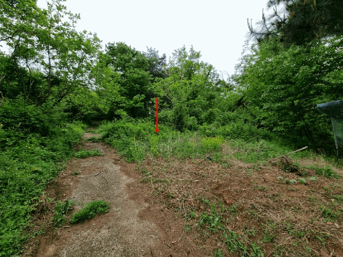 울산광역시 울주군 상북면 지내리 산81-2 임야 경매 사진 24