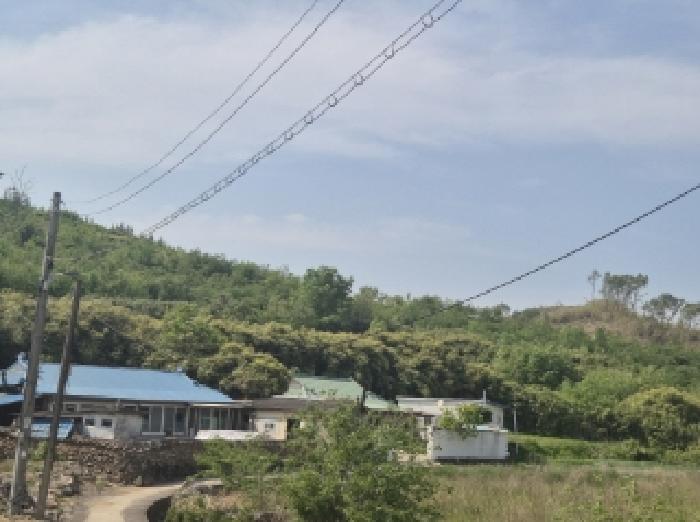 경상북도 포항시 남구 대송면 대각리 산66-9 임야 경매 사진 11