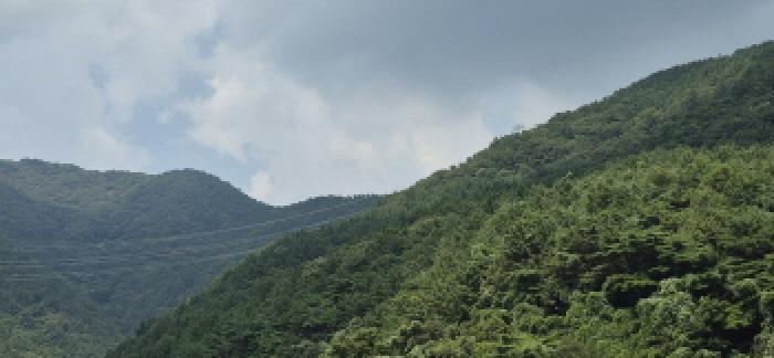 경상남도 고성군 하일면 학림리 1331 임야 경매 사진 45