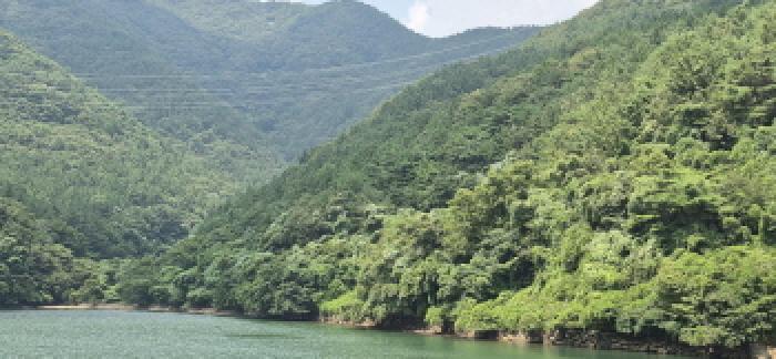 경상남도 고성군 하일면 학림리 1331 임야 경매 사진 46