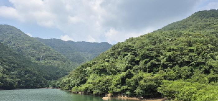 경상남도 고성군 하일면 학림리 1331 임야 경매 사진 47