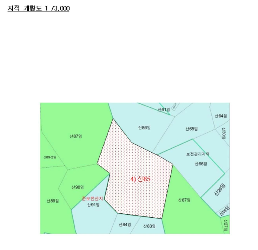 전라남도 신안군 비금면 죽림리 산85 임야 경매 사진 25