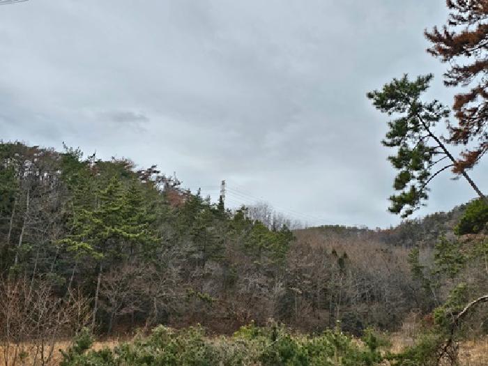 경상남도 하동군 금남면 진정리 산160-2 임야 경매 사진 55