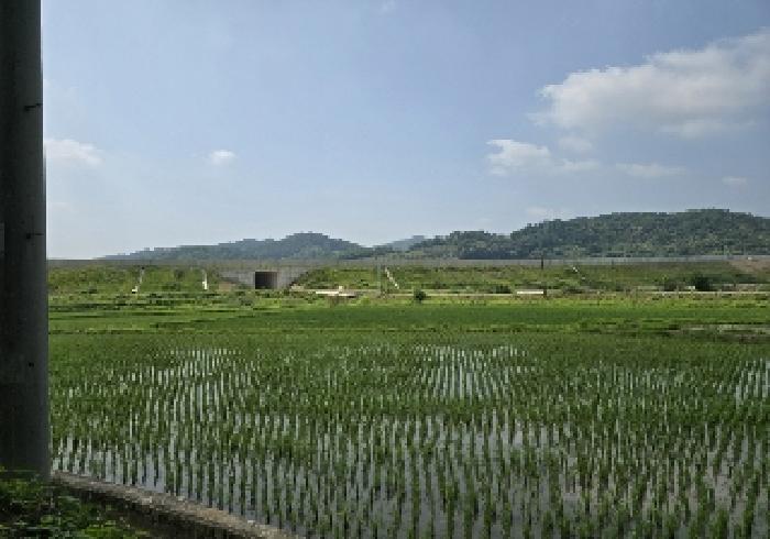 충청북도 충주시 대소원면 완오리 663-9 임야 경매 사진 17