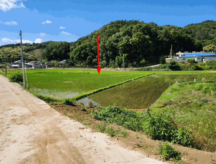 충청북도 충주시 대소원면 완오리 663-9 임야 경매 사진 19