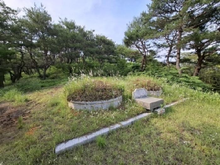 경상남도 사천시 곤명면 삼정리 산40-1 임야 경매 사진 66