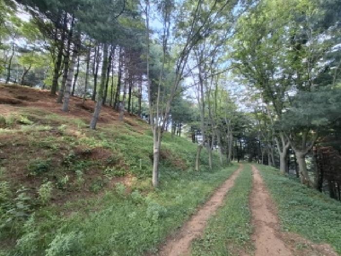 경상남도 사천시 곤명면 삼정리 산40-1 임야 경매 사진 68