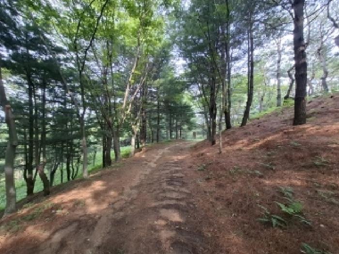 경상남도 사천시 곤명면 삼정리 산40-1 임야 경매 사진 69