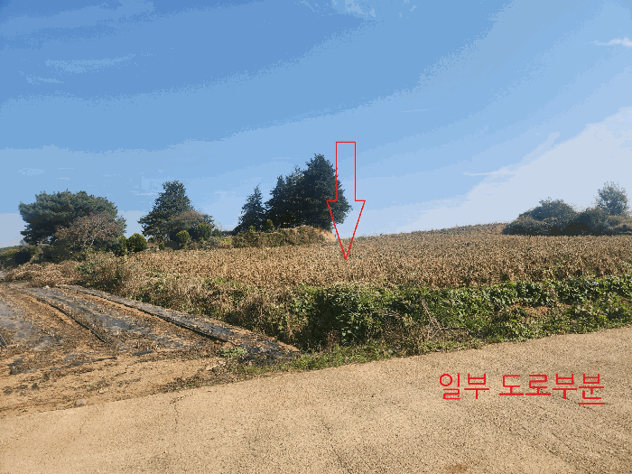 전북특별자치도 부안군 줄포면 파산리 758-53 전 경매 사진 58
