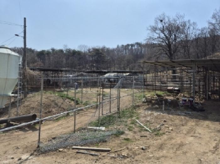 경상북도 포항시 북구 신광면 안덕리 935 전 경매 사진 17
