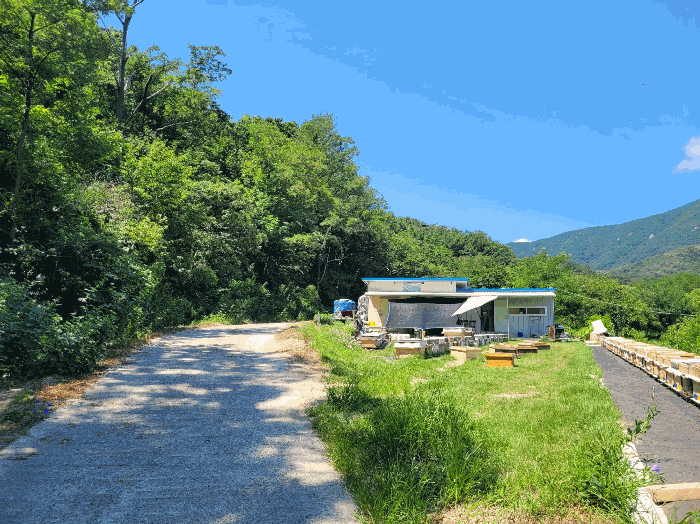 경상북도 포항시 북구 신광면 안덕리 935 전 경매 사진 20