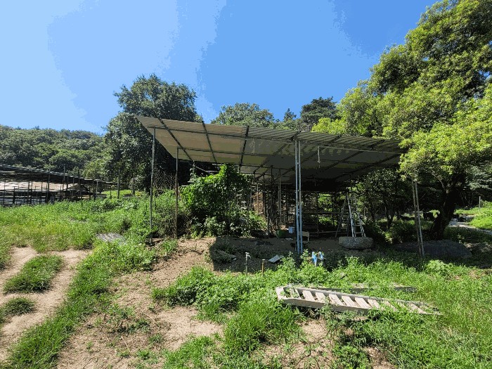 경상북도 포항시 북구 신광면 안덕리 935 전 경매 사진 24