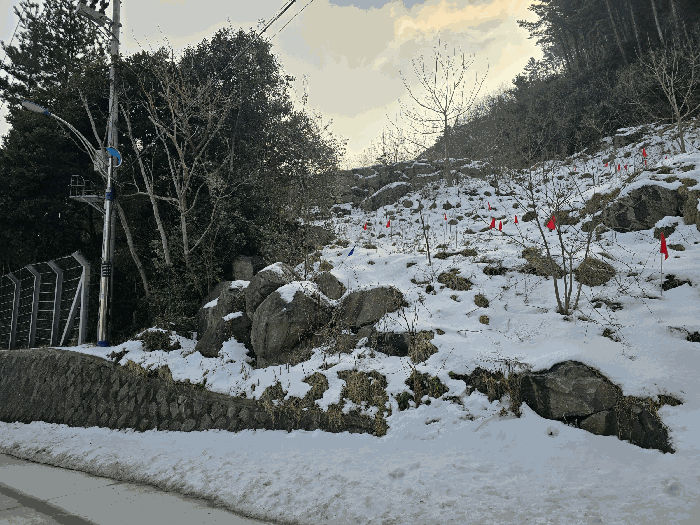 경상북도 울릉군 북면 현포리 658-7 전 경매 사진 22