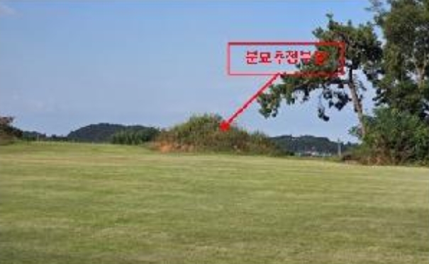 전라남도 무안군 일로읍 용산리 산32-2 임야 경매 사진 29