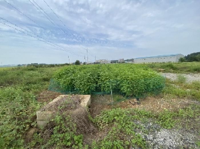 충청남도 당진시 송악읍 고대리 144-6 답 경매 사진 27