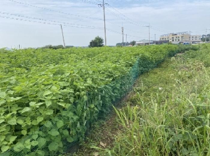 충청남도 당진시 송악읍 고대리 144-6 답 경매 사진 29