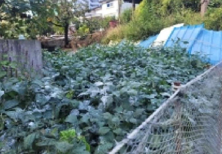 경상남도 통영시 인평동 175-10 답 경매 사진 65