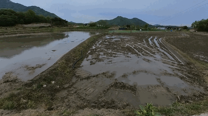 충청남도 공주시 계룡면 중장리 455 답 경매 사진 35