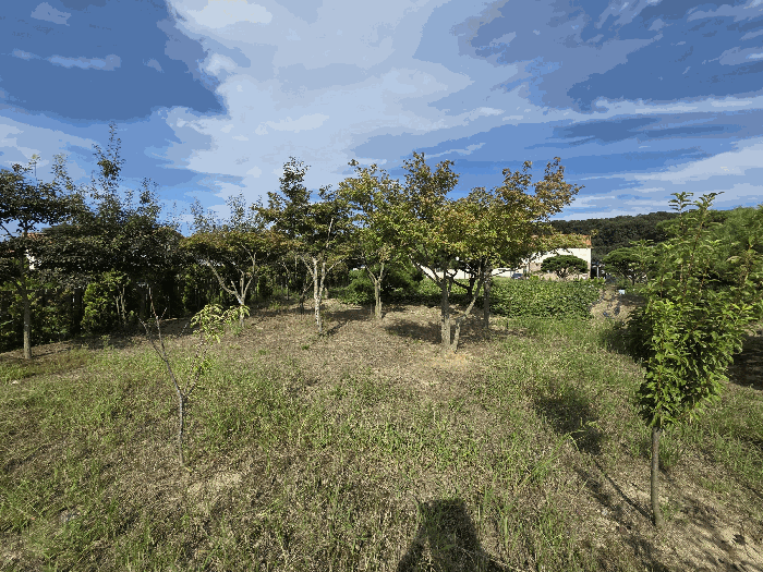 충청북도 충주시 동량면 용교리 210-19 전 경매 사진 39