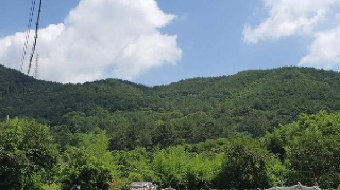 경상남도 창원시 마산합포구 진전면 봉곡리 산17 임야 경매 사진 1
