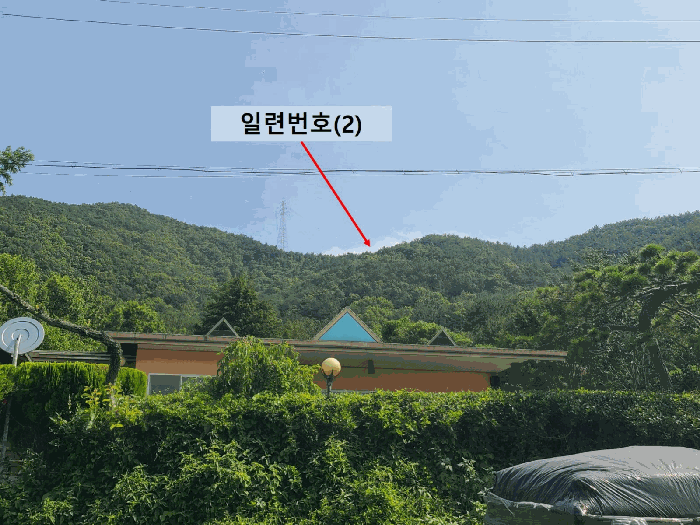 경상남도 창원시 마산합포구 진전면 봉곡리 산17 임야 경매 사진 2
