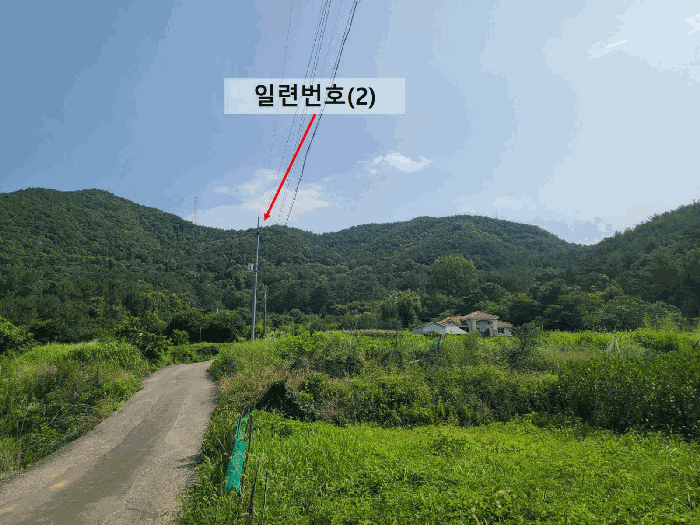 경상남도 창원시 마산합포구 진전면 봉곡리 산17 임야 경매 사진 3