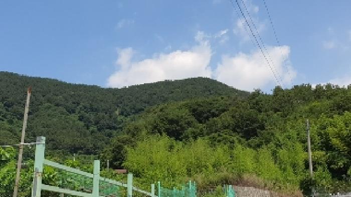 경상남도 창원시 마산합포구 진전면 시락리 산238 임야 경매 사진 1