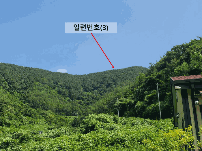 경상남도 창원시 마산합포구 진전면 시락리 산238 임야 경매 사진 2