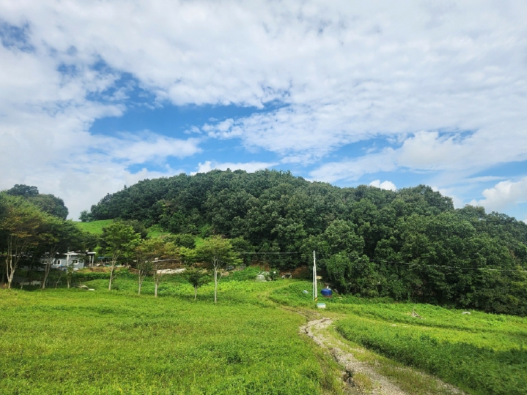 경기도 연천군 군남면 왕림리 산226 임야 경매 사진 30