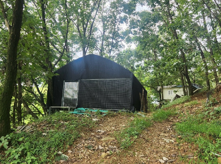 경기도 연천군 군남면 왕림리 산226 임야 경매 사진 33