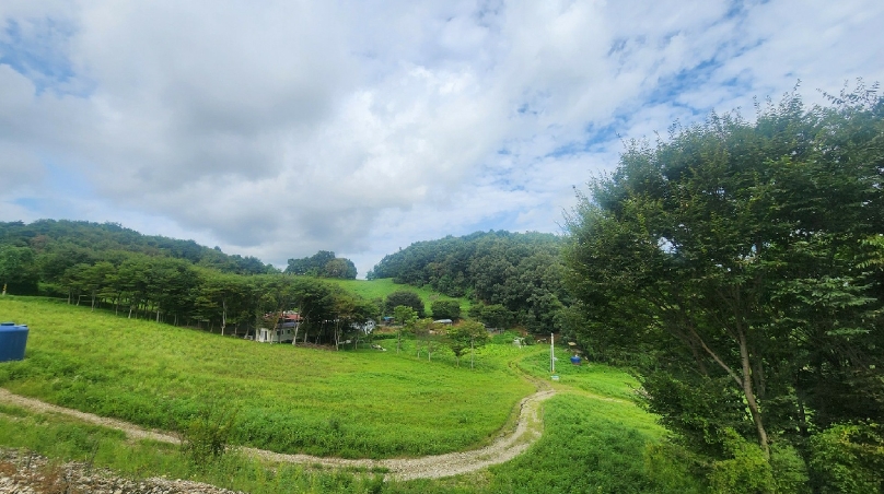 경기도 연천군 군남면 왕림리 산228 임야 경매 사진 32
