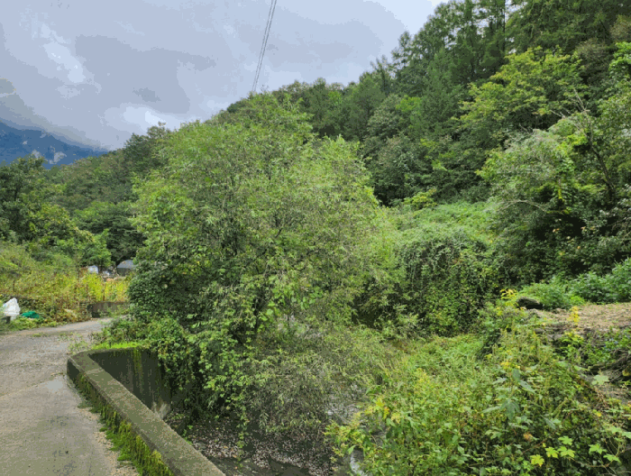 충청북도 제천시 한수면 송계리 916 전 경매 사진 24
