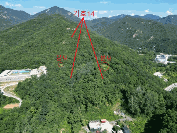 충청북도 제천시 금성면 성내리 산48-1 임야 경매 사진 85