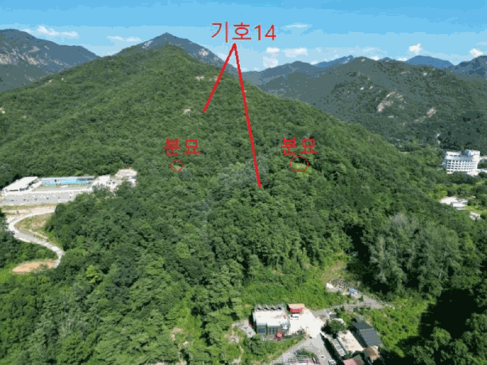 충청북도 제천시 금성면 성내리 산48-1 임야 경매 사진 88
