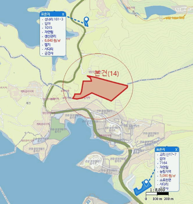 충청북도 제천시 금성면 성내리 산48-1 임야 경매 사진 90
