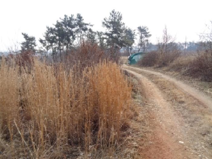전북특별자치도 김제시 용지면 용암리 산120 임야 경매 사진 47