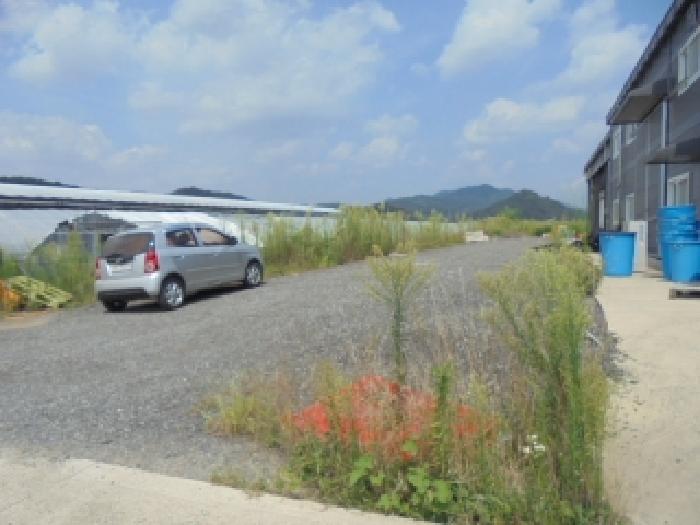 충청북도 청주시 상당구 가덕면 행정리 48-3 답 경매 사진 19