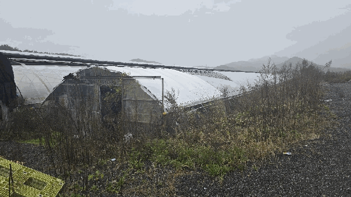 충청북도 청주시 상당구 가덕면 행정리 48-3 답 경매 사진 25