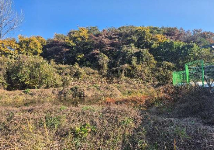 경상남도 함안군 법수면 백산리 536-2 답 경매 사진 43