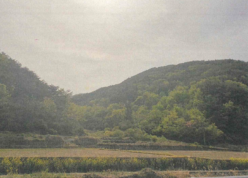 경상남도 창원시 마산합포구 진전면 여양리 산61 임야 경매 사진 21
