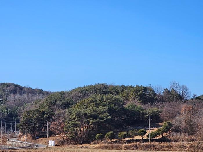 경상남도 진주시 수곡면 대천리 산6-6 임야 경매 사진 76