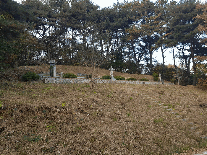 경상남도 진주시 수곡면 대천리 산6-6 임야 경매 사진 82