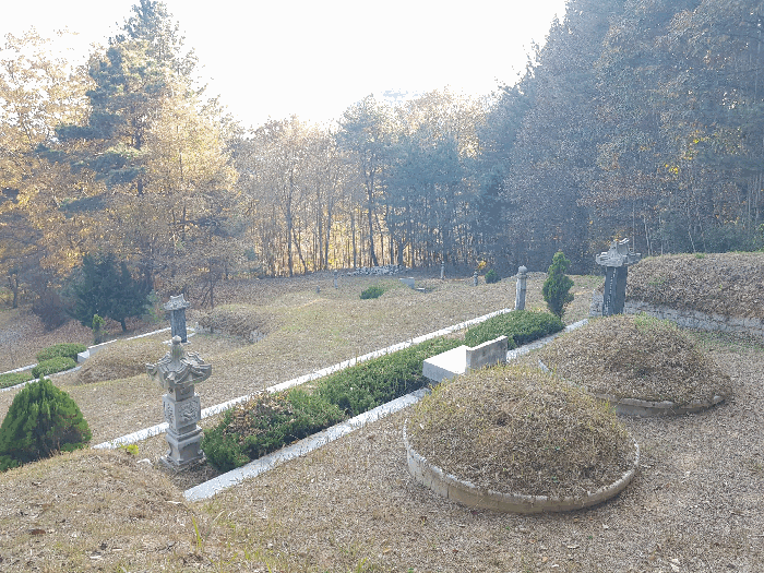 경상남도 진주시 수곡면 대천리 산6-8 임야 경매 사진 87