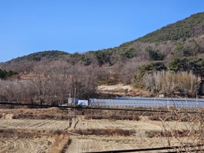 경상남도 진주시 수곡면 대천리 산6-8 임야 경매 사진 79